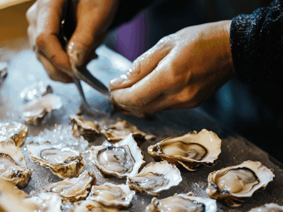oysters